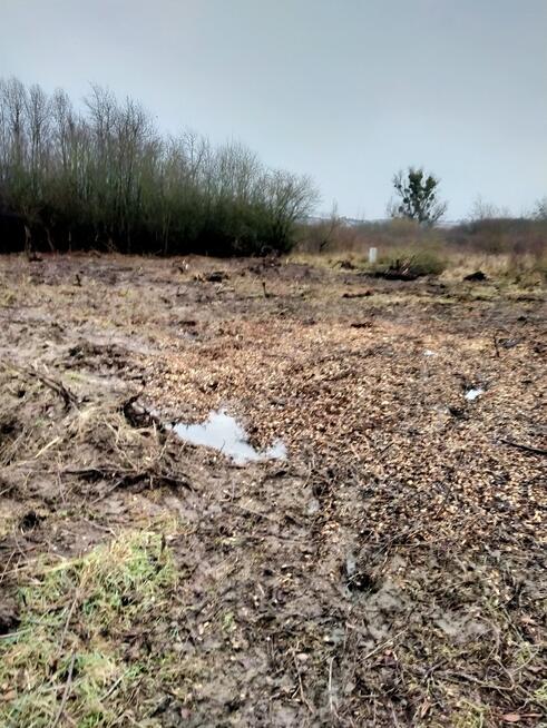 Działka 1567m2,Wołczkowo,budowlana,Decyzja w.z.,