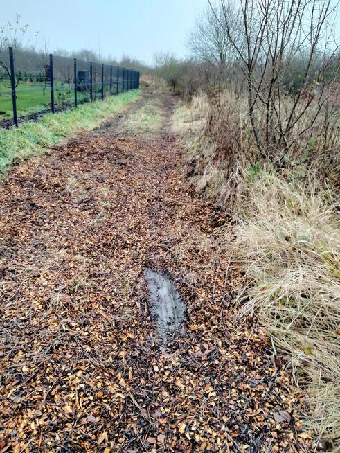 Działka 1567m2,Wołczkowo,budowlana,Decyzja w.z.,