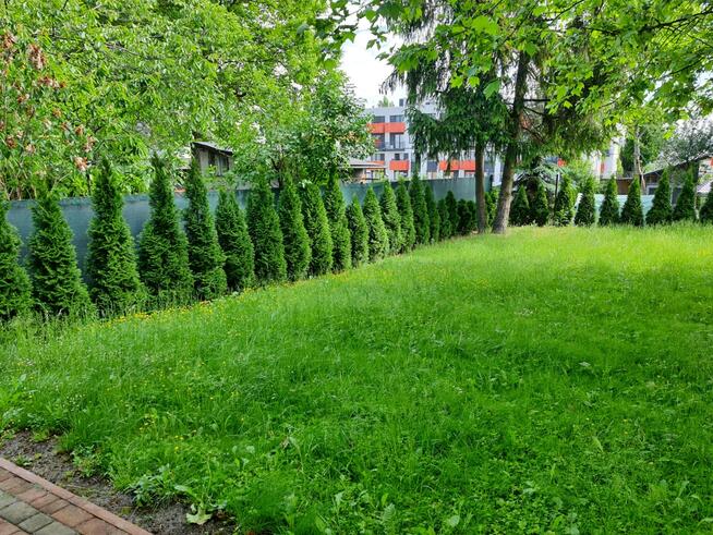 Kawalerka od już Kraków Podgórze tramwaj pociąg