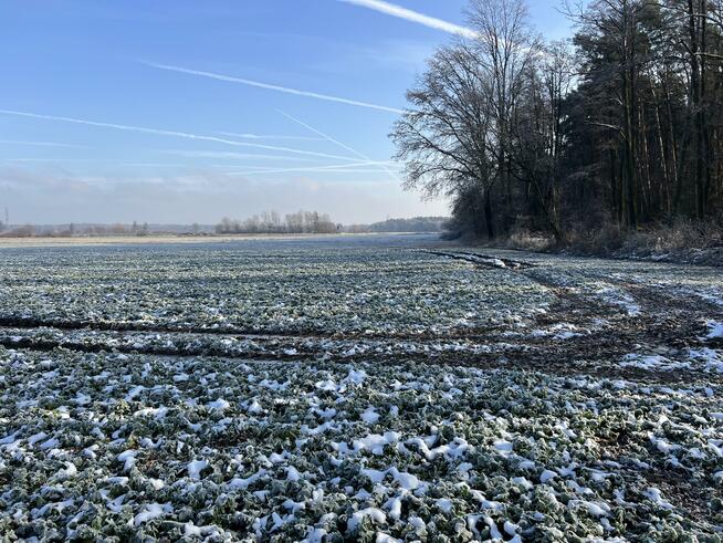 Działka rolna Zawada gm. Turawa, Brzegowa