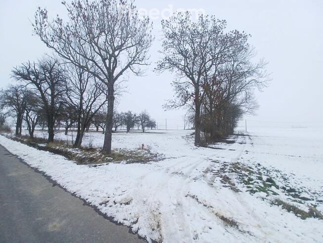 Dom z potencjałem na dużej działce