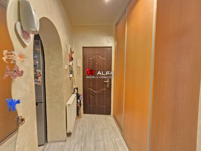 Mieszkanie Świdnica