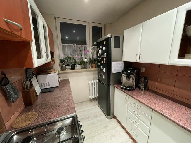 Mieszkanie na wynajem Gliwic Sikornik