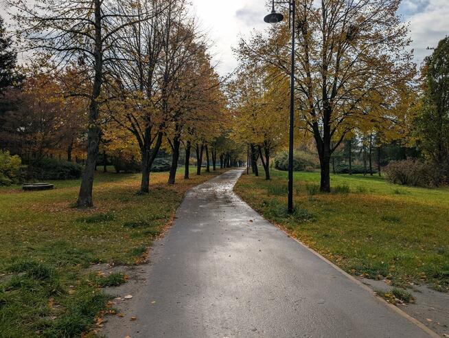 Janikowo 54m2 M3 blok 2003r wys. parter balkon Zachodnia 5 N