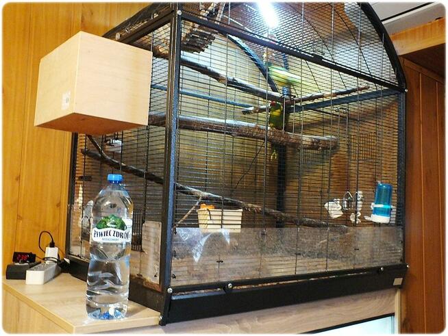 Ogromna Duża Klatka - Woliera + Papugi parka lęgowa Modrolo