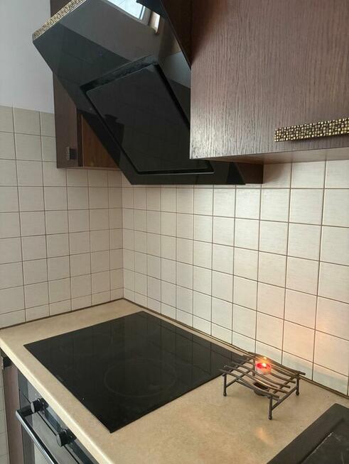 mieszkanie do wynajmu