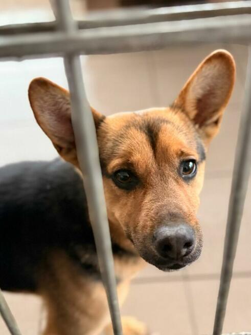 Abi i Neo szukają domu