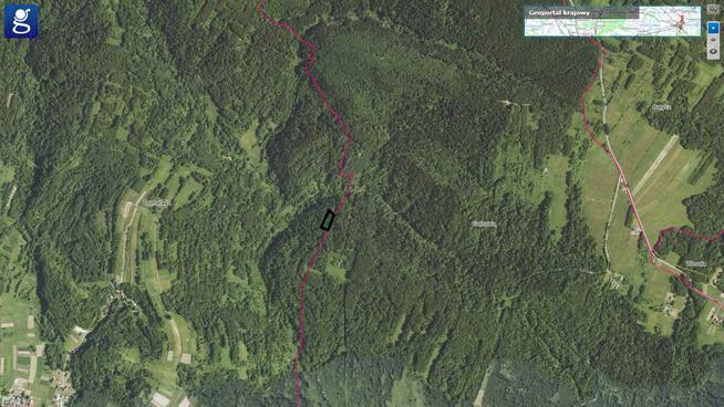 Działka leśna Domaradz