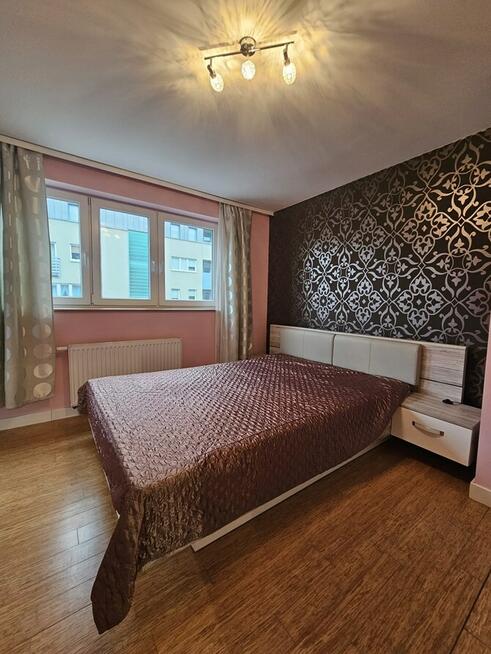 Wynajmę 3 pokoje pet friendly, Pochyła 15