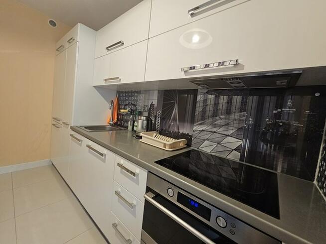 Wynajmę 3 pokoje pet friendly, Pochyła 15