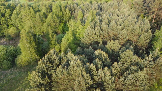 Działka o pow. 2,08 ha w m. Kawęczyn gm. Ciepielów