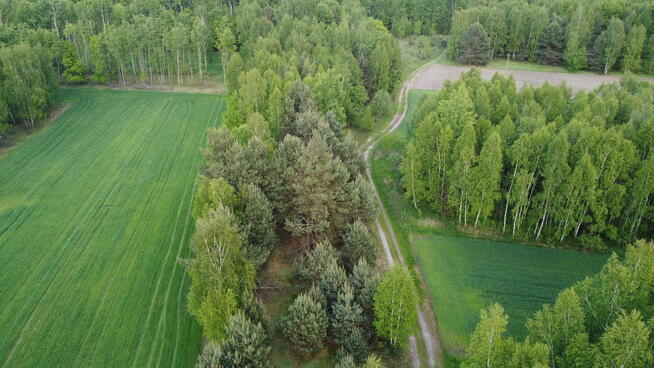 Działka o pow. 1,63 ha w Karolowie gm. Chotcza.