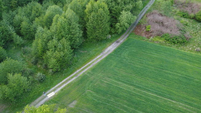 Działka o pow. 1,63 ha w Karolowie gm. Chotcza.
