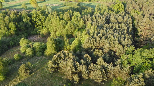 Działka o pow. 1,63 ha w Karolowie gm. Chotcza.