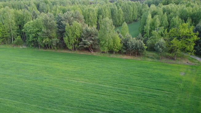 Działka o pow. 1,63 ha w Karolowie gm. Chotcza.