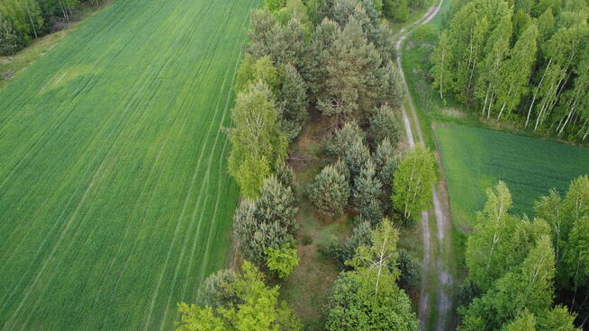 Działka o pow. 1,63 ha w Karolowie gm. Chotcza.