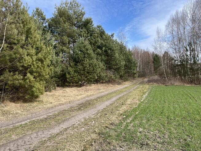 Działka o pow. 1,63 ha w Karolowie gm. Chotcza.