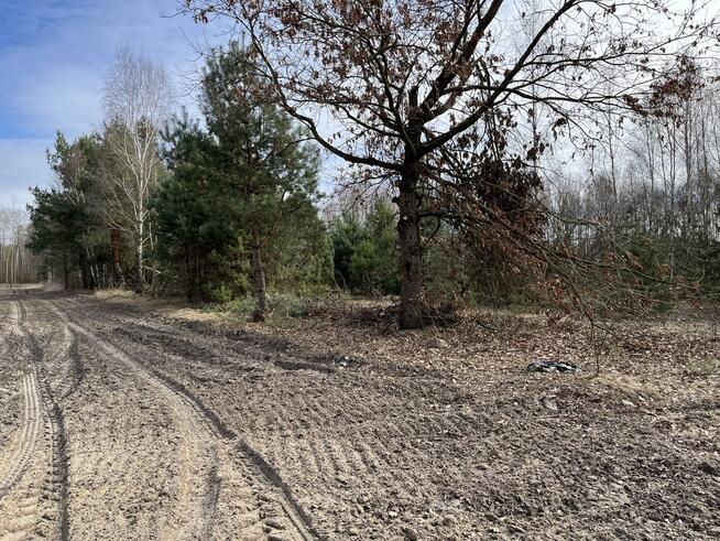 Działka o pow. 1,63 ha w Karolowie gm. Chotcza.