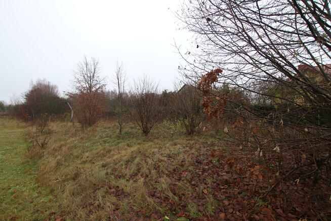 Działka rolno budowlana 1,1 ha Wola Mieczysławska