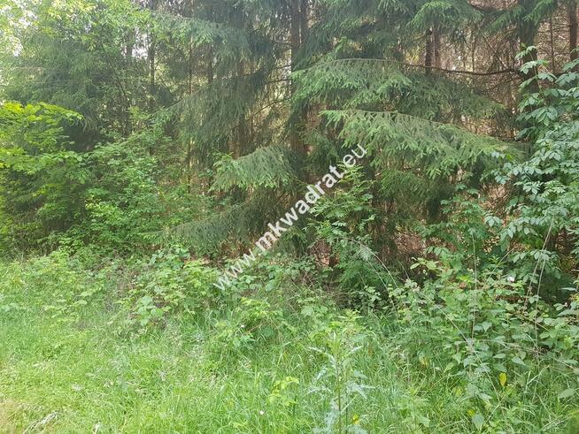 Działka 5000 m² Piotrkowice