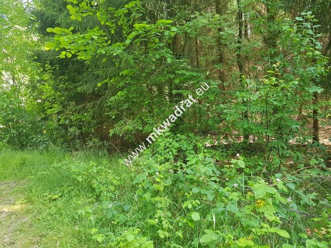 Działka 5000 m² Piotrkowice