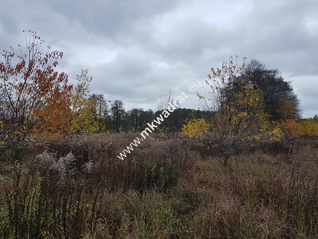 ⭐⭐⭐⭐DZIAŁKA Z POZWOL. NA BUDOWĘ DOM 2 LOKALOWY⭐⭐⭐⭐