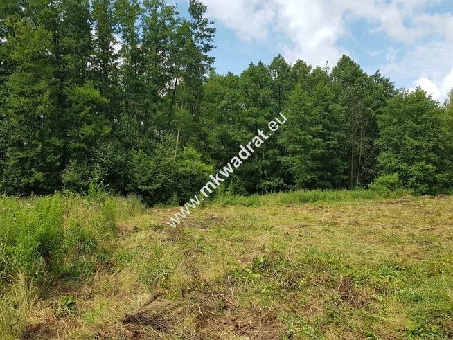 Budy Grzybek 3 działki + skrzynki elektryczne