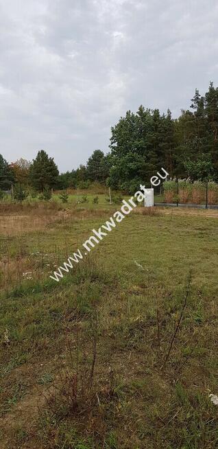 ⭐⭐⭐⭐⭐ Ustawna 1500m2 w cichej okolicy 45mx33m⭐⭐⭐⭐⭐