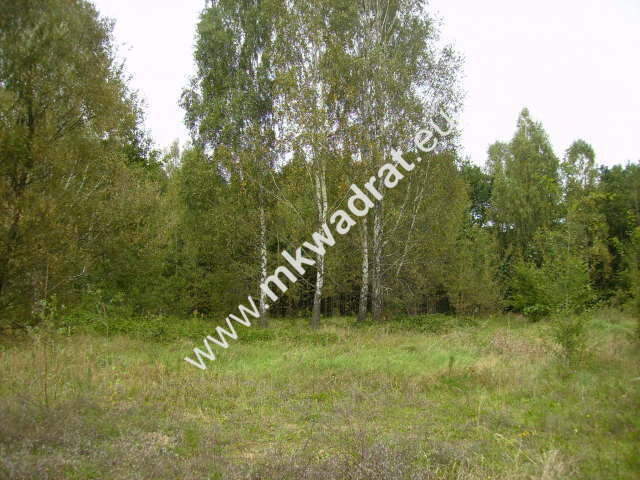 ⭐⭐⭐⭐Wyjątkowa piękna działka leśna z pr. zabud⭐⭐⭐⭐
