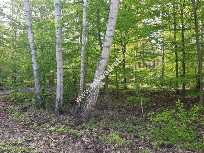 DZIAŁKA Z PLANEM ZAGOSPODAROWANIA