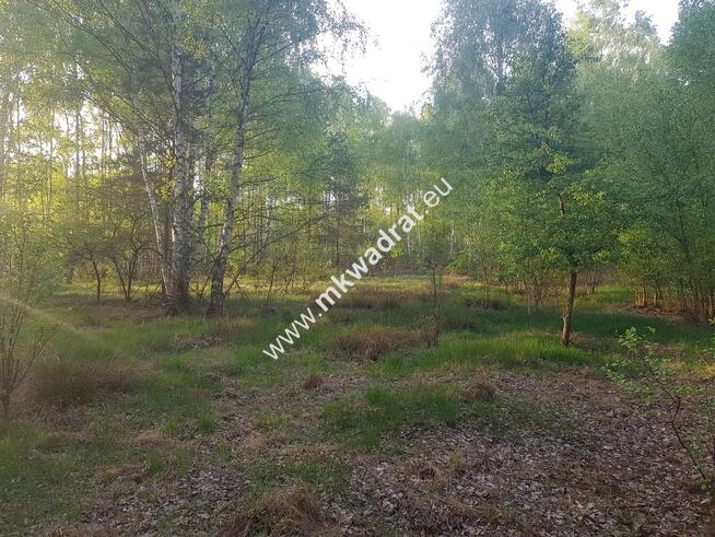 DZIAŁKA Z PLANEM ZAGOSPODAROWANIA