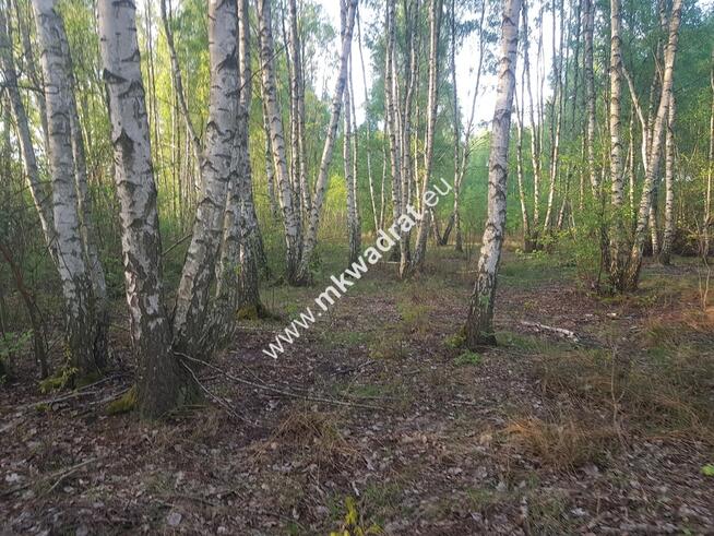 DZIAŁKA Z PLANEM ZAGOSPODAROWANIA