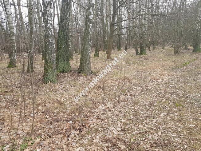 ⭐⭐⭐⭐⭐ Działka z planem zagospodarowania ⭐⭐⭐⭐⭐