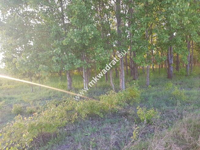 ⭐⭐⭐⭐ Działka 800 m od szkoły MPZP budow-usług ⭐⭐⭐⭐