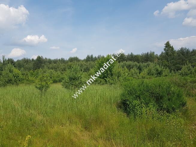 Działka 4000  m²  - usługowo-budowlana MPZP!