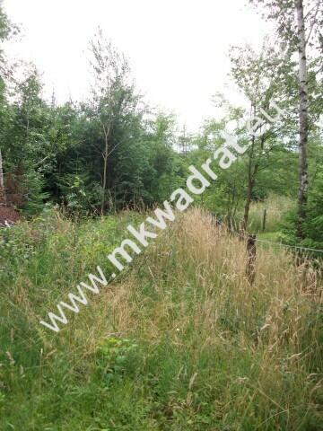 Działka 4000 m² - usługowo-budowlana MPZP!