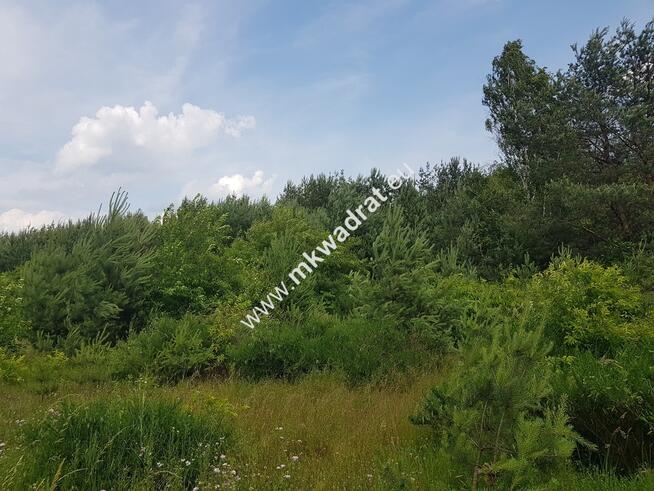 Działka 4000 m² - usługowo-budowlana MPZP!