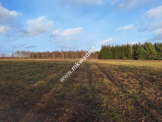 Niedroga działka w uroczej okolicy