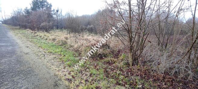 ⭐⭐⭐⭐ Działka Budowlana 4851 m Budy Grzybek ⭐⭐⭐⭐