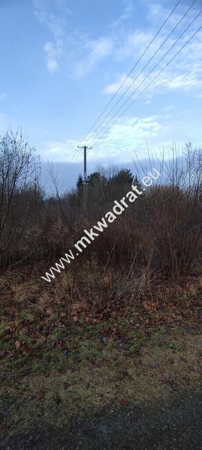 ⭐⭐⭐⭐ Działka Budowlana 4851 m Budy Grzybek ⭐⭐⭐⭐