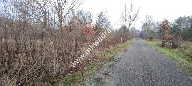 ⭐⭐⭐⭐ Działka Budowlana 4851 m Budy Grzybek ⭐⭐⭐⭐