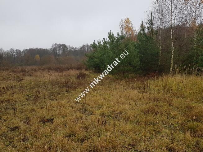 ⭐⭐⭐⭐Urokliwa działka przy lesie MPZP Media ⭐⭐⭐⭐