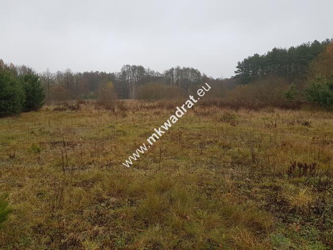 ⭐⭐⭐⭐Urokliwa działka przy lesie MPZP Media ⭐⭐⭐⭐