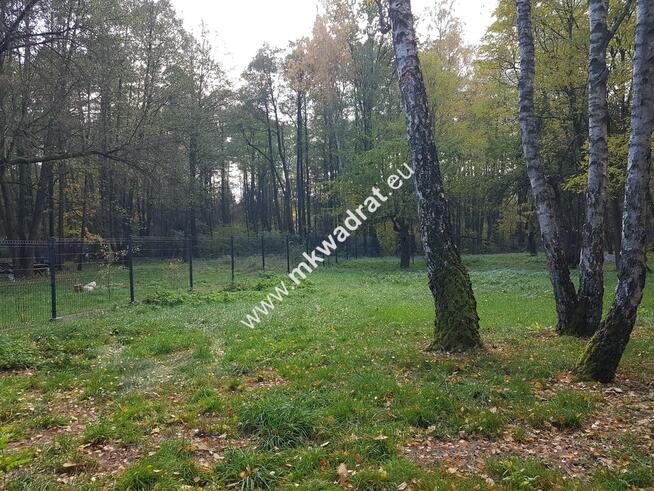 ⭐⭐⭐⭐ Super Działka z dostępem do rzeczki ⭐⭐⭐⭐