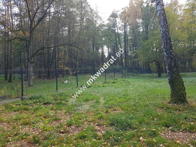 ⭐⭐⭐⭐ Super Działka z dostępem do rzeczki ⭐⭐⭐⭐