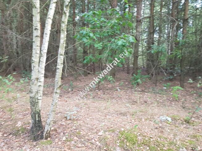 Działka przy drodze gminnej z MPZP