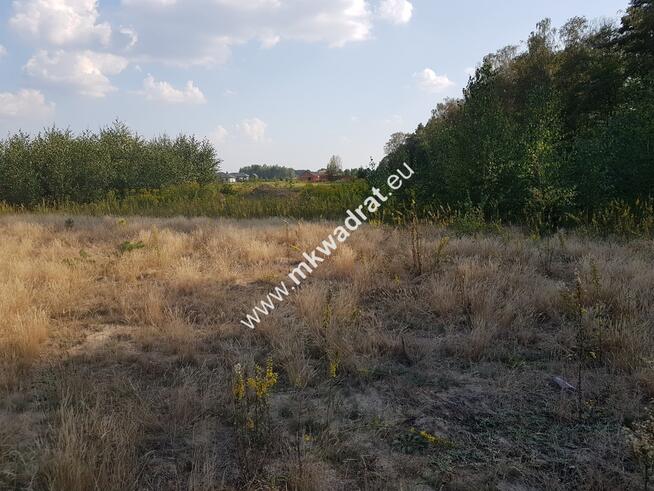 Działka przy lesie pod dom 2-lokalowy MPzP Media!