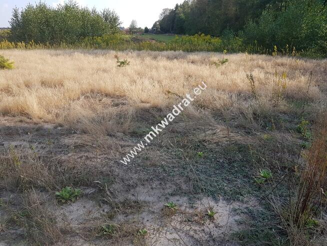 Działka przy lesie pod dom 2-lokalowy MPzP Media!