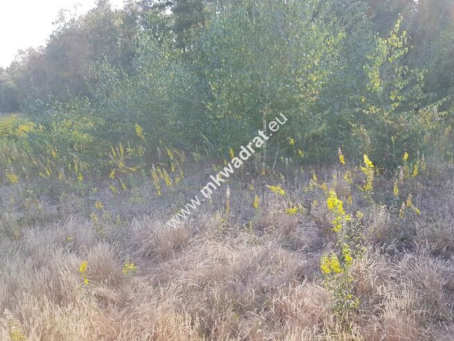 Działka przy lesie pod dom 2-lokalowy MPzP Media!