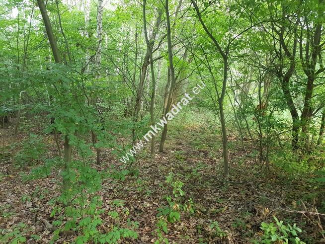 działka siedliskowa przy ulicy gminnej